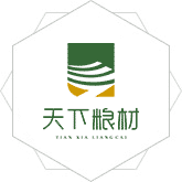 抽插逼影视